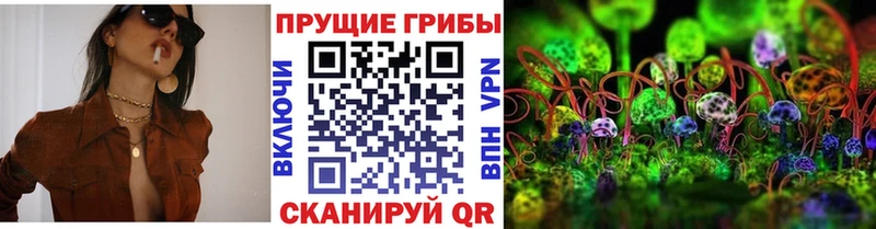 Псилоцибиновые грибы Psilocybine cubensis  Заводоуковск 